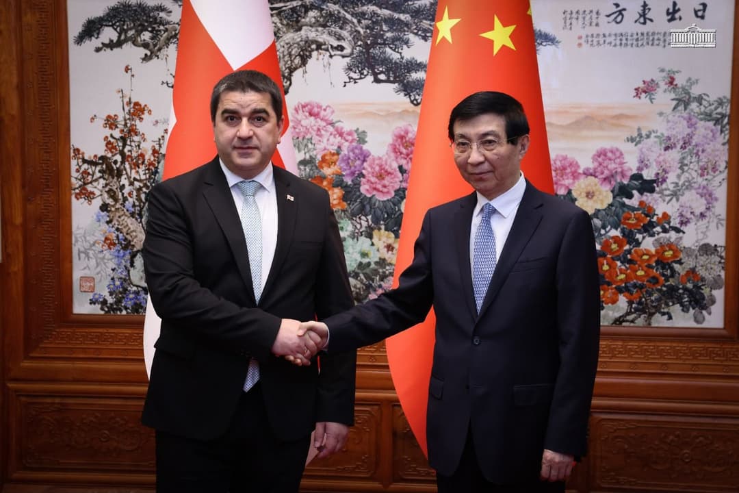 Georgian parliamentary speaker holds talks with senior Chinese official in Beijing
