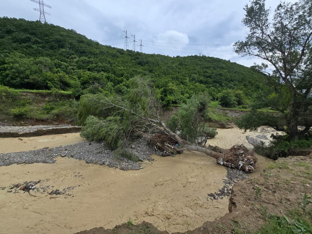 Heavy rain damages roads and homes across Tbilisi districts