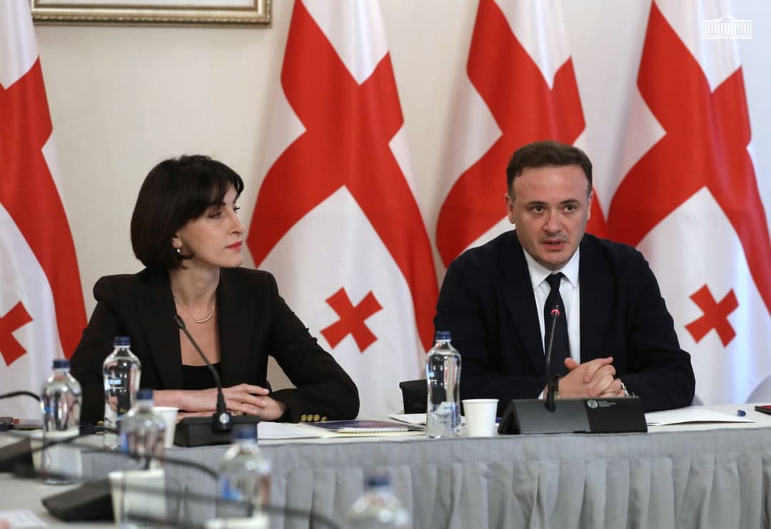 დიასპორის კომიტეტის სხდომაზე მაკა ბოჭორიშვილს მოუსმინეს