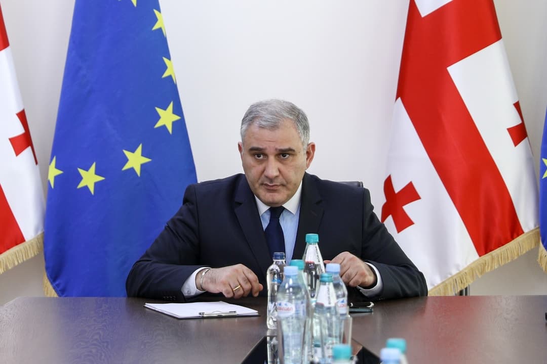 მიხეილ სარჯველაძე - დღეს პრაქტიკულად მთელი ევროპა შეთანხმებულია, რომ ეს პრეპარატები არ არის ფართო გამოყენებისთვის დამტკიცებული