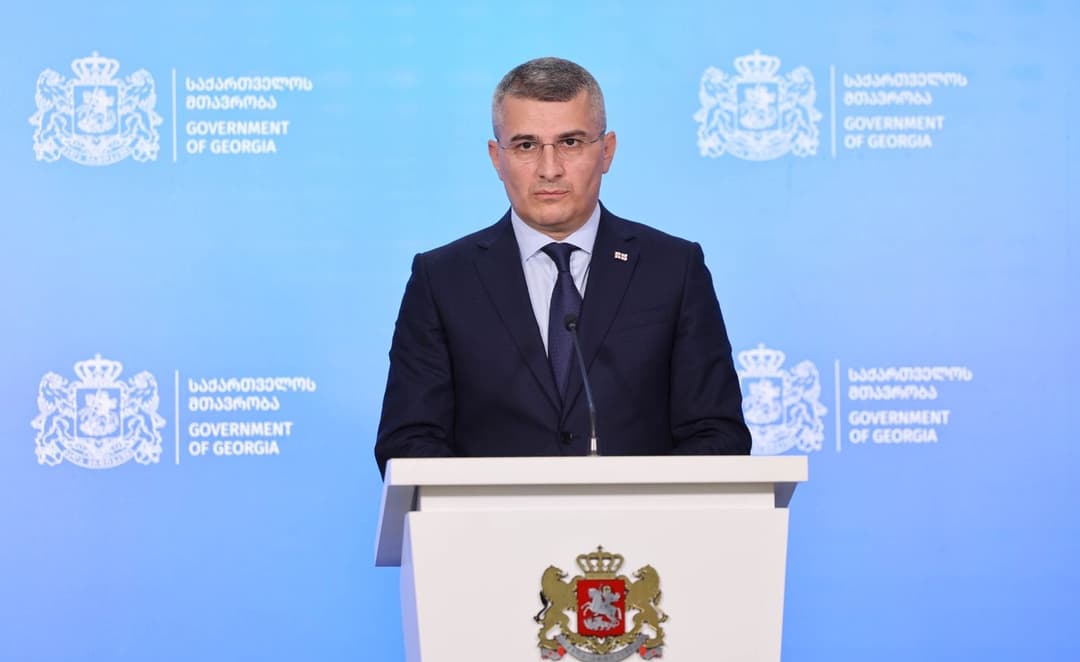 Vice PM Mdinaradze praises counter-intelligence operation, defends new hate speech unit
