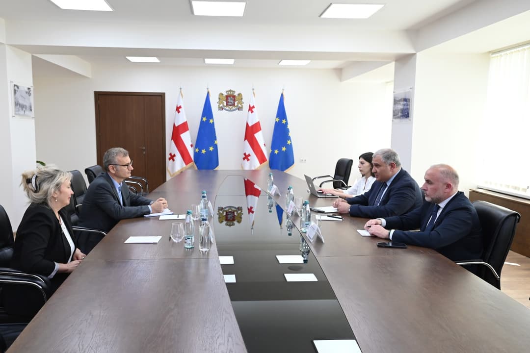 Georgian Health Minister, Global Fund official review cooperation and healthcare reforms