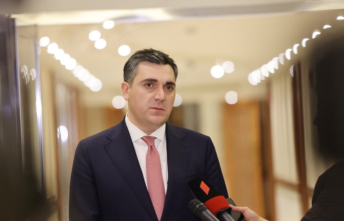 პარლამენტი 16 ივნისს საგარეო საქმეთა მინისტრს მოუსმენს
