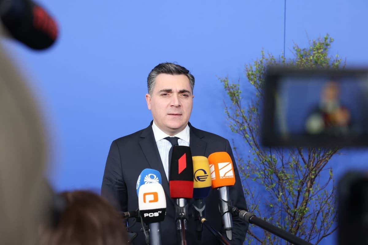 ილია დარჩიაშვილი – გაუგებარი და საფუძველს მოკლებული იყო გადაწყვეტილება, რომელიც უკრაინისგან მოვისმინეთ