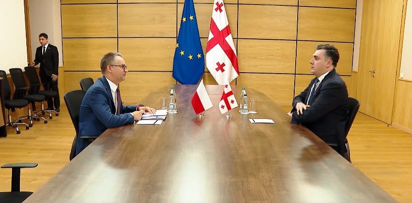 “პოლონელმა დიპლომატმა აღნიშნა, რომ არ არის ინფორმირებული, რამ გამოიწვია პოლონელი ექიმის მსგავსი საქციელი”