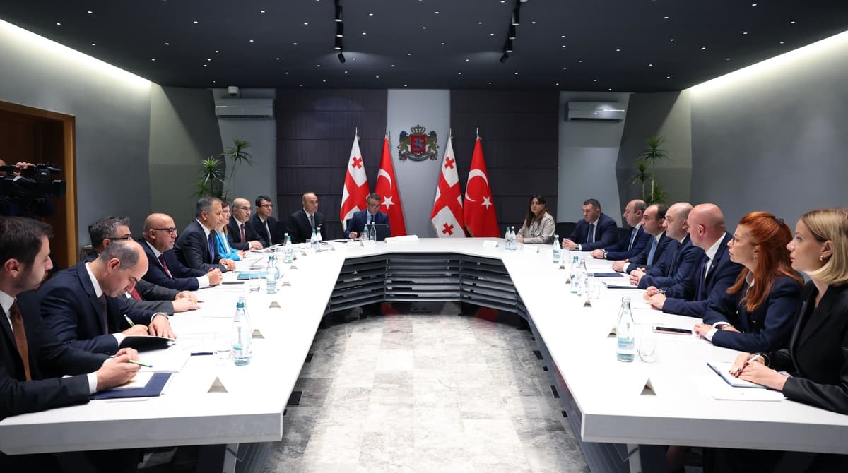 გეკა გელაძემ თურქეთის შს მინისტრთან ოფიციალური შეხვედრა გამართა