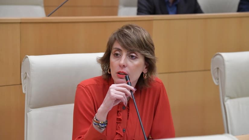 Opposition leader Dekanoidze calls for coordinated opposition to strengthen Georgian democracy