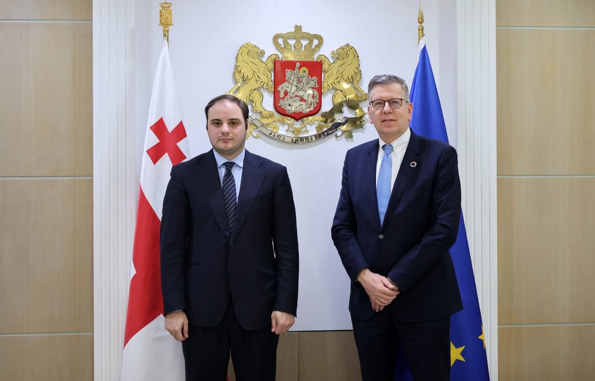 Georgian Government chief meets IOM regional director to discuss migration 
