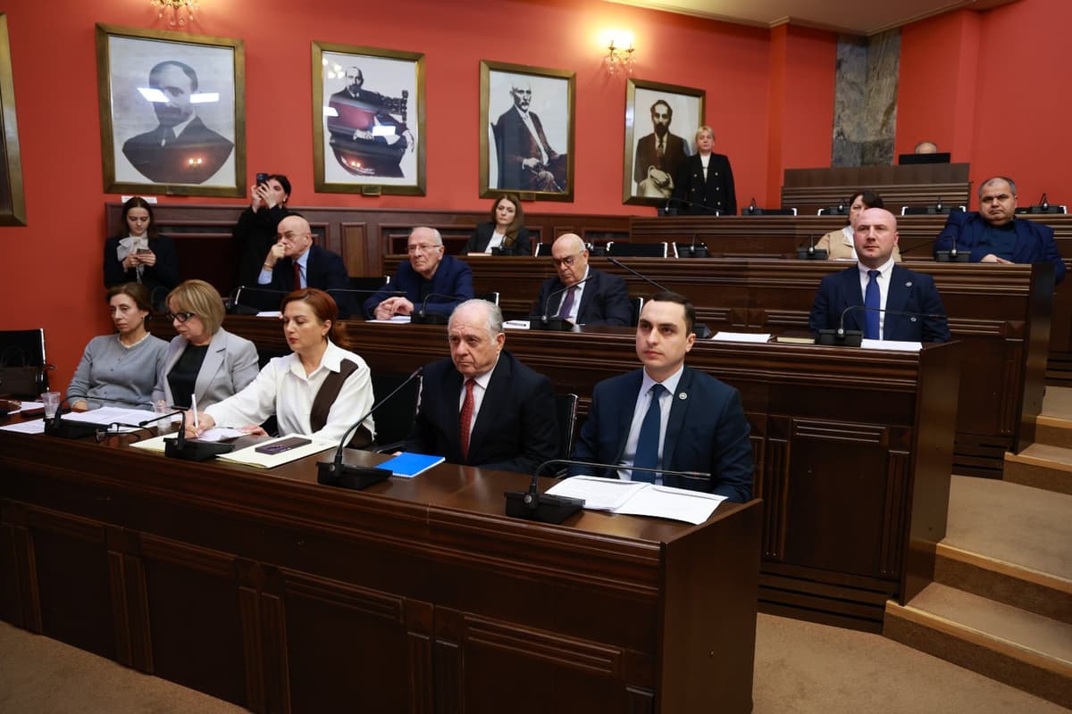 Abkhazian Government Head reports to Georgian Parliament on support for students from occupied territories
