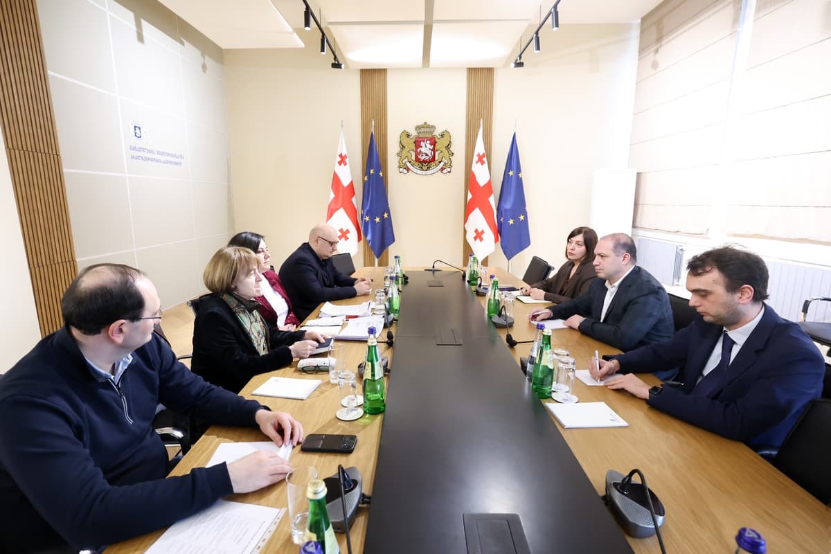 Education minister meets Ilia State University rector over higher education reforms