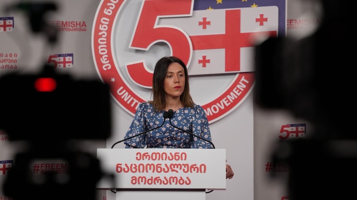 Freedom struggle outweighs opposition differences, UNM’s Tsitlidze 