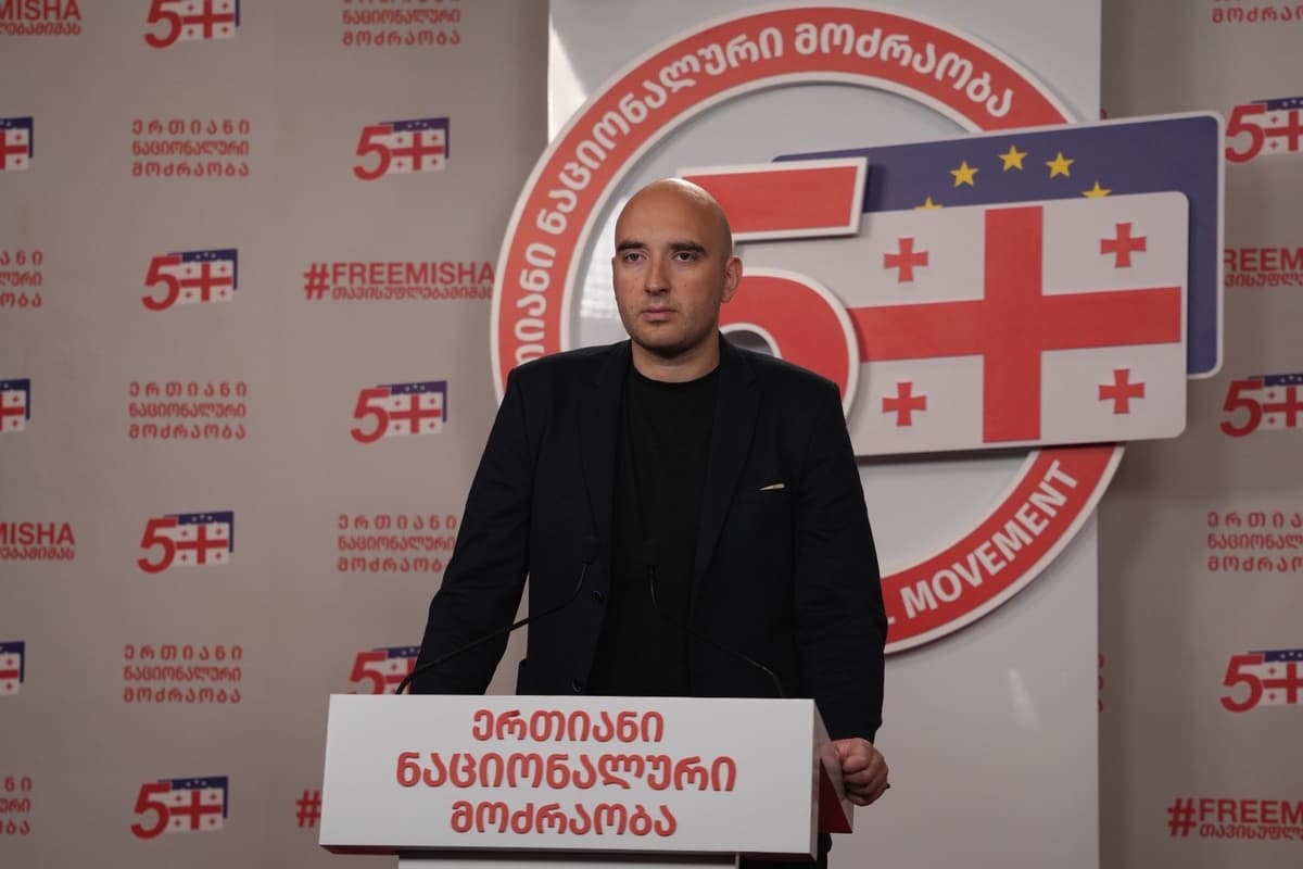 UNM’s Pavlenishvili: opposition alliance to spark protest wave, increase international pressure