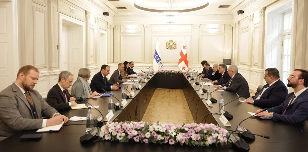 President Kavlashvili meets OSCE PA President in Tbilisi