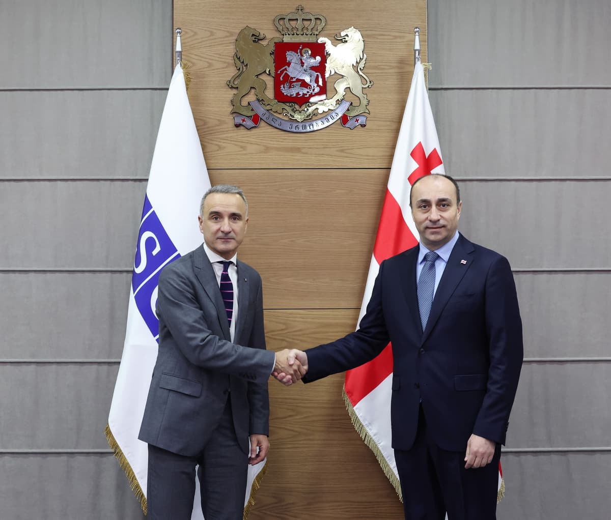 Georgian Interior Minister meets OSCE PA President to discuss security, cooperation