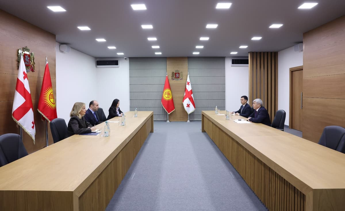 Georgia’s Interior Minister meets Kyrgyz Ambassador to discuss law enforcement cooperation