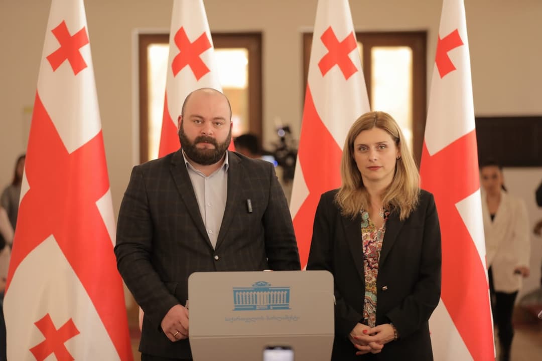თეონა აქუბარდიამ და ბექა ლილუაშვილმა პარლამენტში ალტერნატიული კანონპროექტი დააინიცირეს