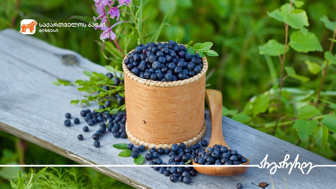 “საქართველოს ბანკის” მხარდაჭერით მოცვის პლანტაცია ოზურგეთში 2ჰა- ზე გაშენდა