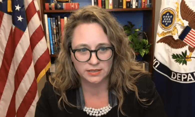 საქართველოს საპარლამენტო დელეგაცია ერიკა ოლსონს შეხვდა