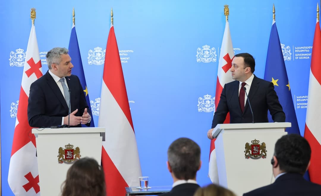 კარლ ნეჰამერი – პოლიტიკა შესაძლებლობის ხელოვნებაა, უნდა ვმოძრაობდეთ შესაძლებლობების დერეფანში და ამას საქართველოს მთავრობა აკეთებს