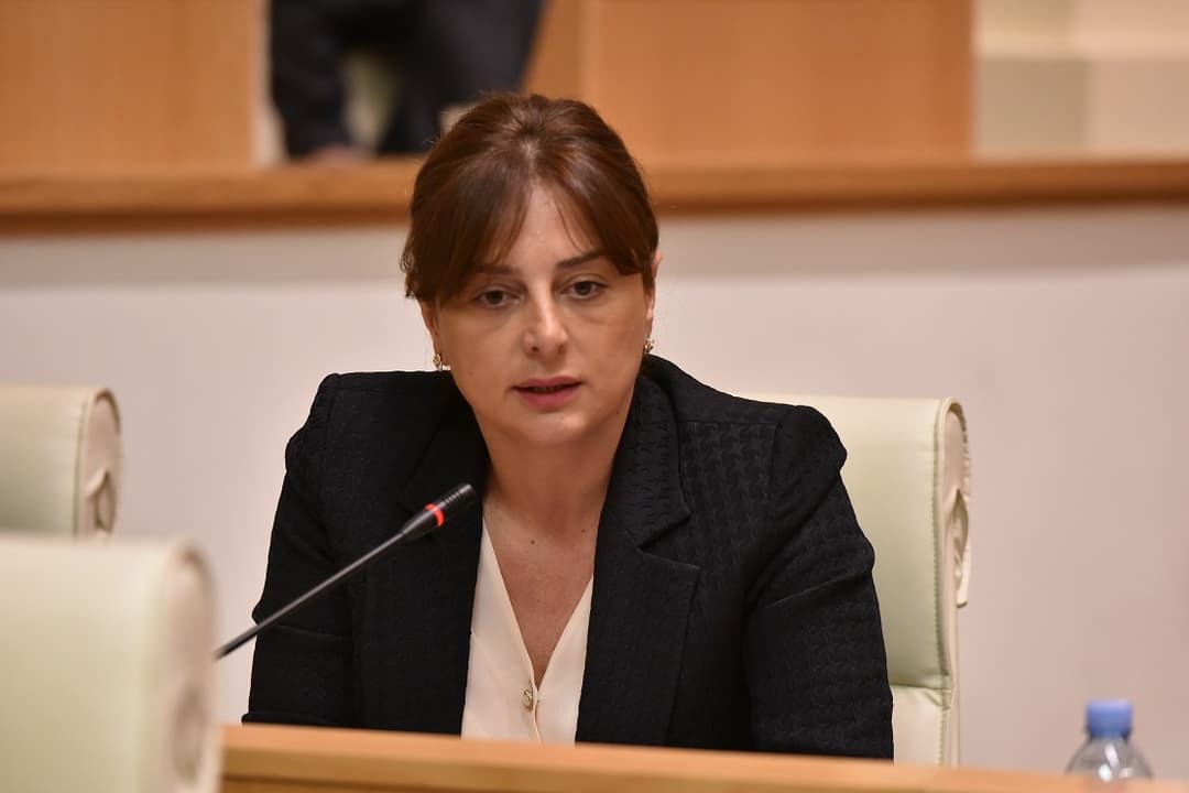 მაია ბითაძე – რისთვის უნდა დაისაჯოს ბიძინა ივანიშვილი, სამ მილიარდიანი ქველმოქმედებისთვის თუ 2012 წელს “ნაციონალური მოძრაობის” გასტუმრებისთვის?