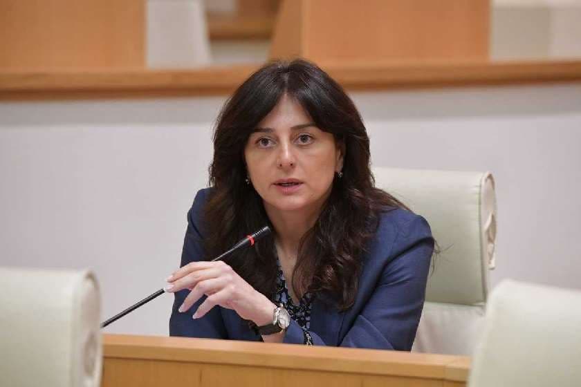 მაია ბითაძე – ეს არის რადიკალური ოპოზიციისთვის გადაგდებული ლუკმა