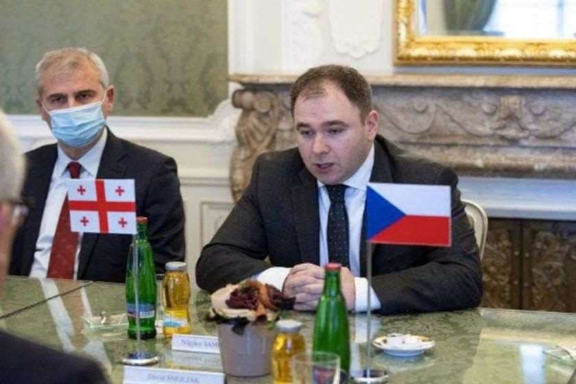 საქართველოს საპარლამენტო დელეგაცია ოფიციალური ვიზიტით ჩეხეთში იმყოფება