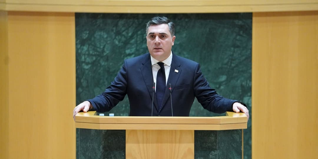 Georgia “only in region” signing free trade deal both with EU, China – FM