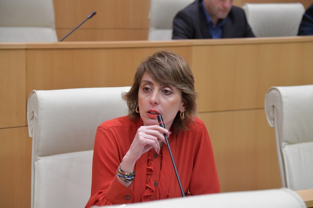 ხატია დეკანოიძე – ოკუპირებულ და ასპირანტ საქართველოს არ მიეცა დაჩქარებული გაწევრიანების გეგმა, ეს მეტწილად “ქართული ოცნების“ პასუხისმგებლობაა