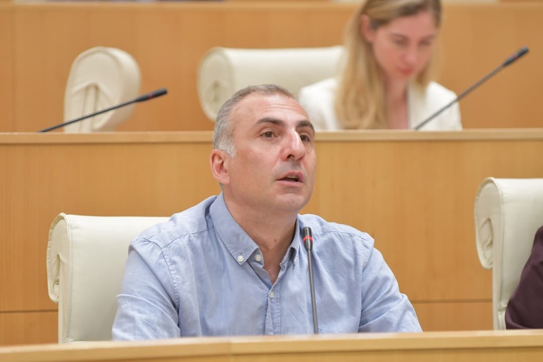 ალექსანდრე ელისაშვილი – პირველი მოსმენით მხარი დავუჭირე თავდაცვის კოდექსს, მაგრამ მეორე მოსმენით მხარს არ დავუჭერ