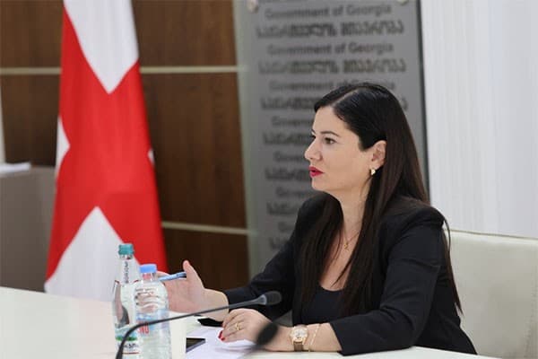 ნინო გიორგობიანი შს მინისტრის მრჩევლად დაინიშნა