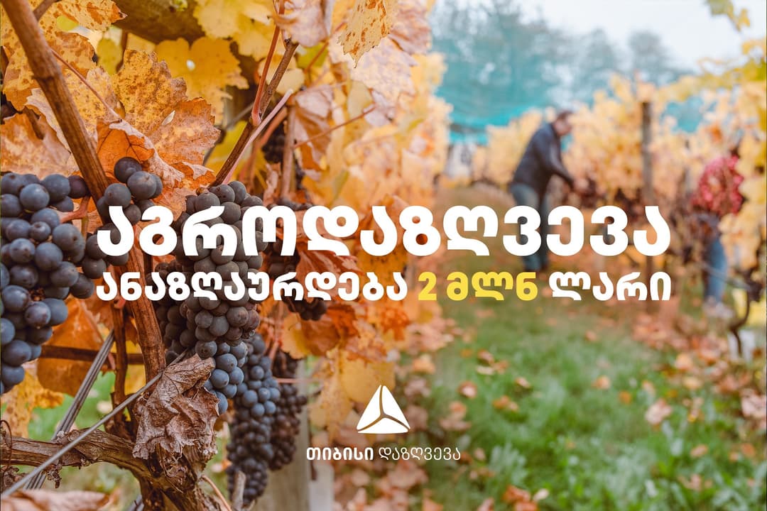 26 აგვისტოს კახეთში სტიქიისგან მიყენებული ზიანი 152 მიწის ნაკვეთს აუნაზღაურდება – თიბისი დაზღვევა