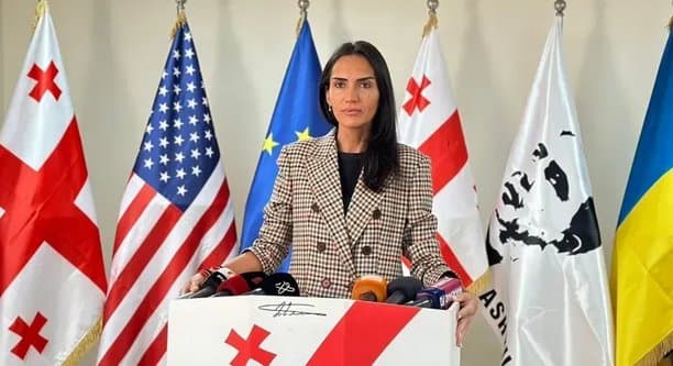 სოფო ჯაფარიძე – ქალბატონო სალომე, ნახეთ რამდენი ათასი ადამიანი დგას რიგში, რომ მიხეილ სააკაშვილი იქნეს გათავისუფლებული