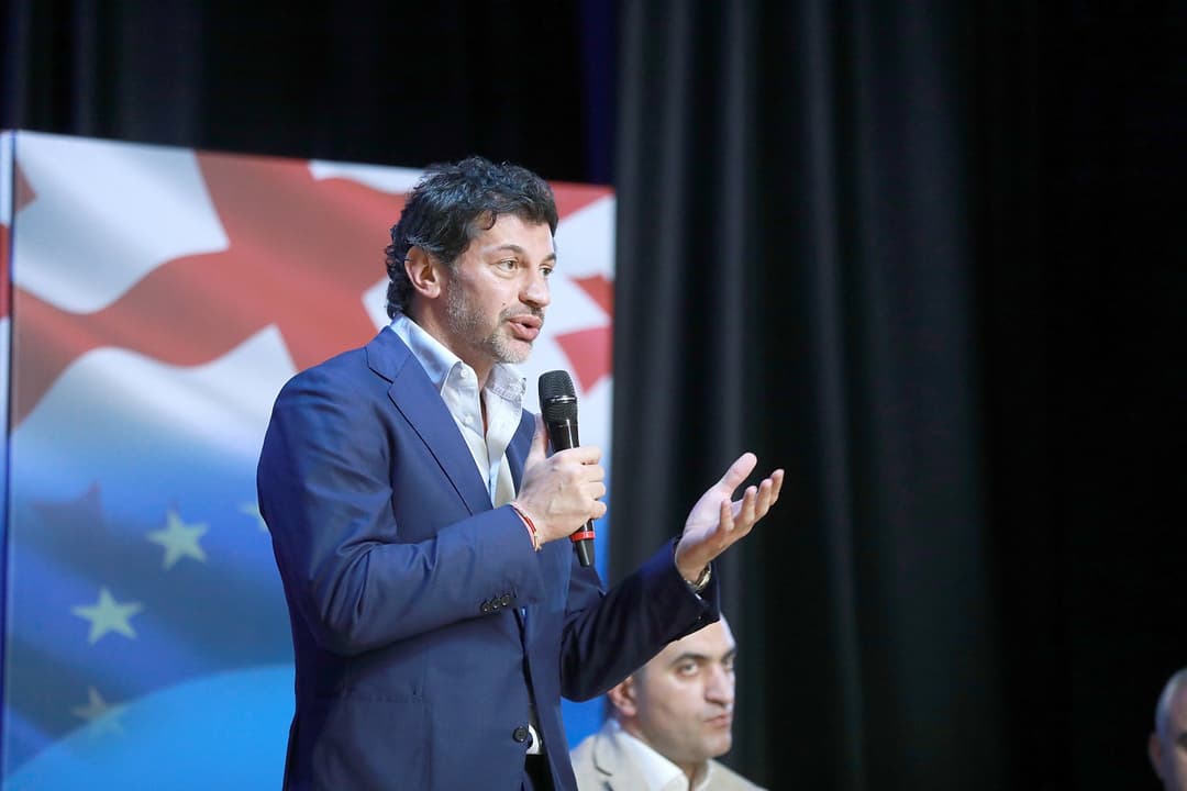 კახა კალაძე – ვითომ მეგობარი ქვეყნებიდან შემოდის დაფინანსება ორგანიზაციებში, სადაც მიმდინარეობს ახალგაზრდების რეკრუტირება, რომ ასწავლონ, როგორ მოაწყონ რევოლუცია