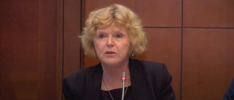 მერი ლოლერი – საქართველოს ხელისუფლებამ რადიკალურად უნდა შეცვალოს დამოკიდებულება ადამიანის უფლებათა დამცველების მიმართ