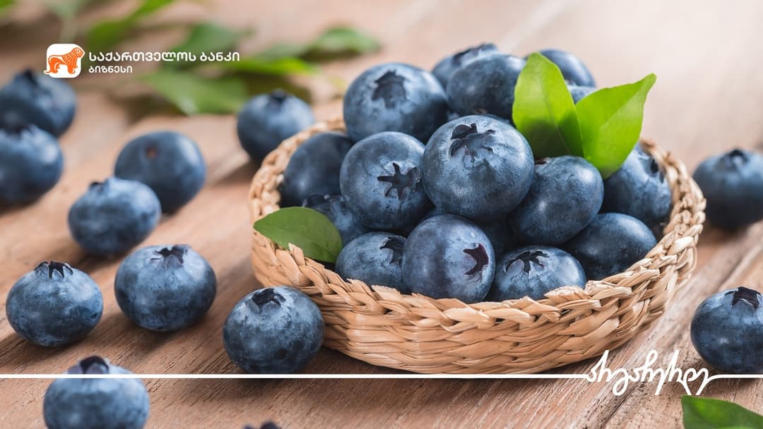 “საქართველოს ბანკის” მხარდაჭერით გურიაში მოცვის პლანტაციისთვის 1.4 მლნ დოლარის ინვესტიცია განხორციელდა