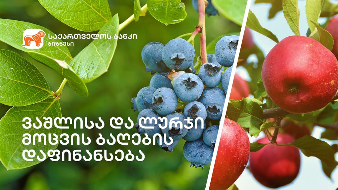 “საქართველოს ბანკი” მომხმარებელს შეღავათიან აგროკრედიტს სთავაზობს