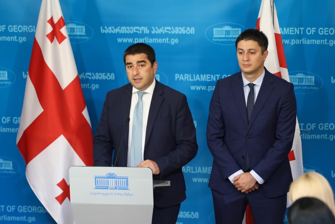 პარლამენტის თავმჯდომარემ სახელმწიფო აუდიტის სამსახურის გენერალური აუდიტორის თანამდებობაზე ასარჩევად ცოტნე ყავლაშვილი წარადგინა