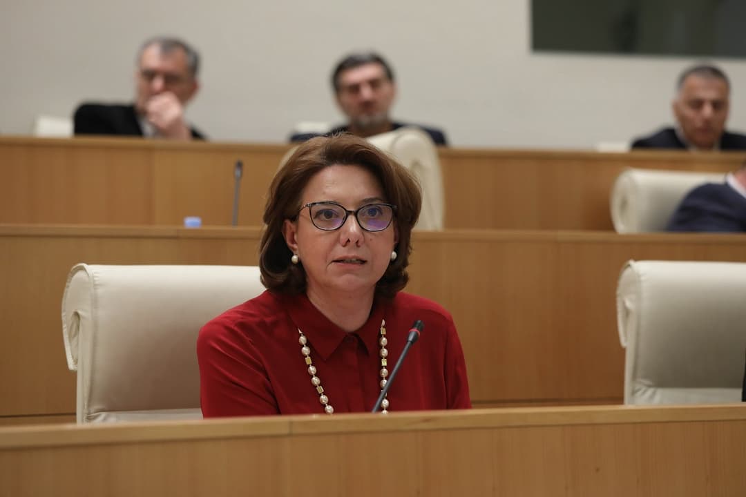 სალომე სამადაშვილი – საქართველოს პარლამენტი ხმას არ იღებს უკრაინის მხარდასაჭერად