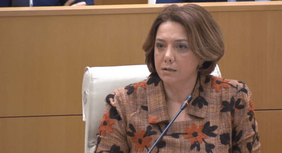 სალომე სამადაშვილი – ღარიბაშვილმა ბოლომდე მიიყვანა საბოტაჟი კანდიდატის სტატუსის მიღების წინააღმდეგ