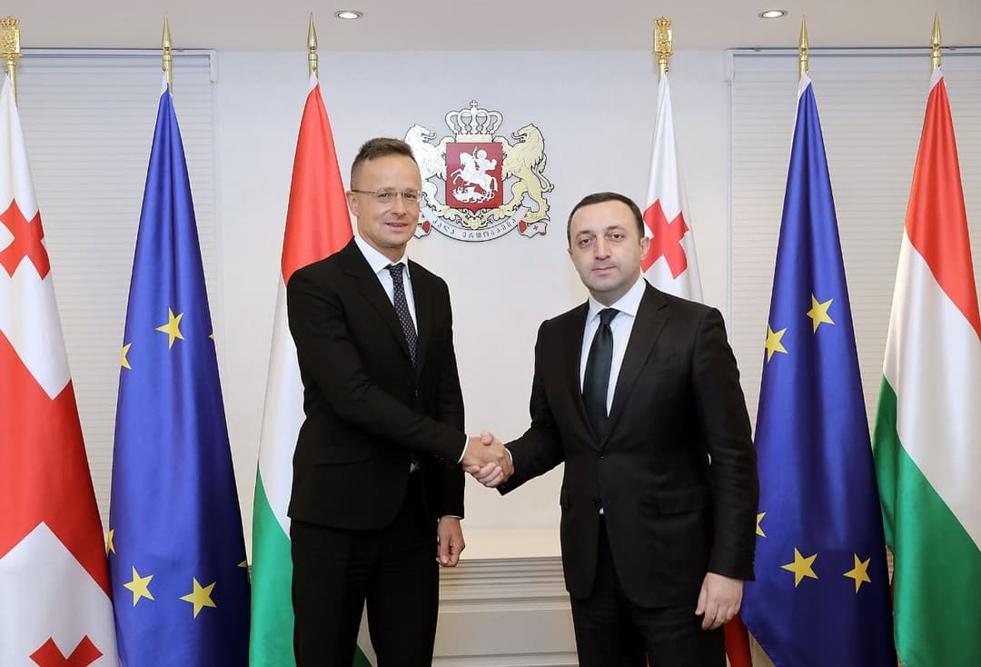 ირაკლი ღარიბაშვილი უნგრეთის საგარეო საქმეთა და ვაჭრობის მინისტრს შეხვდა