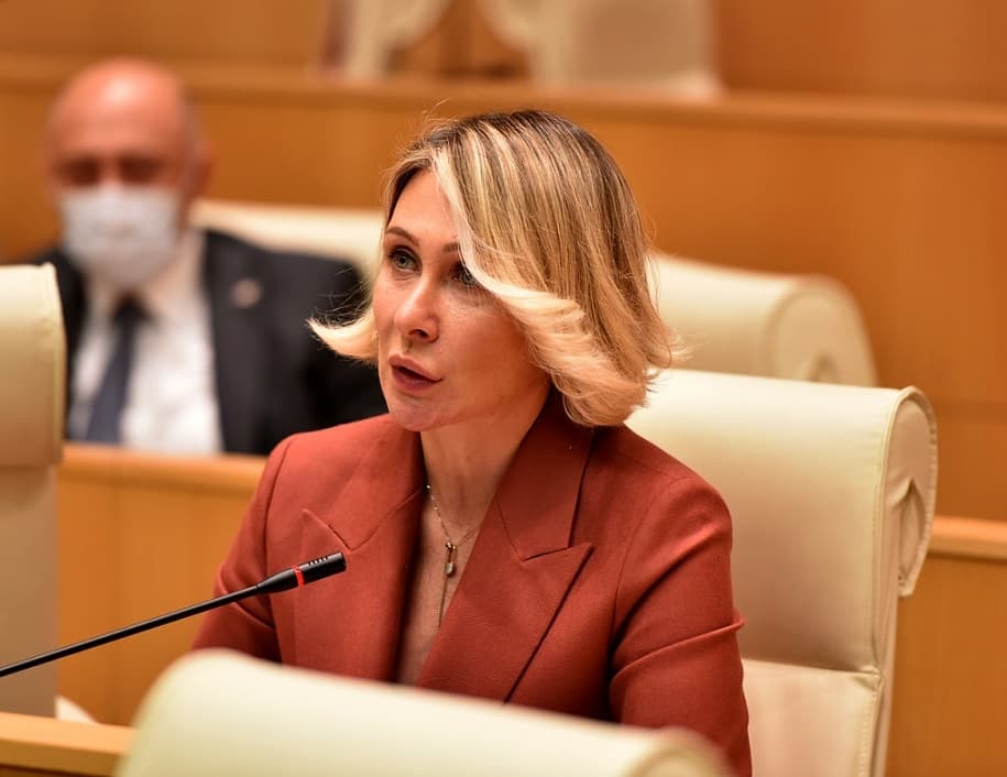 ნინო წილოსანი – განსაკუთრებულ აქცენტებს გავაკეთებთ იმ საჭიროებებთან დაკავშირებით, რომელიც თავისუფალი სავაჭრო ზონების განვითარებას ესაჭიროება