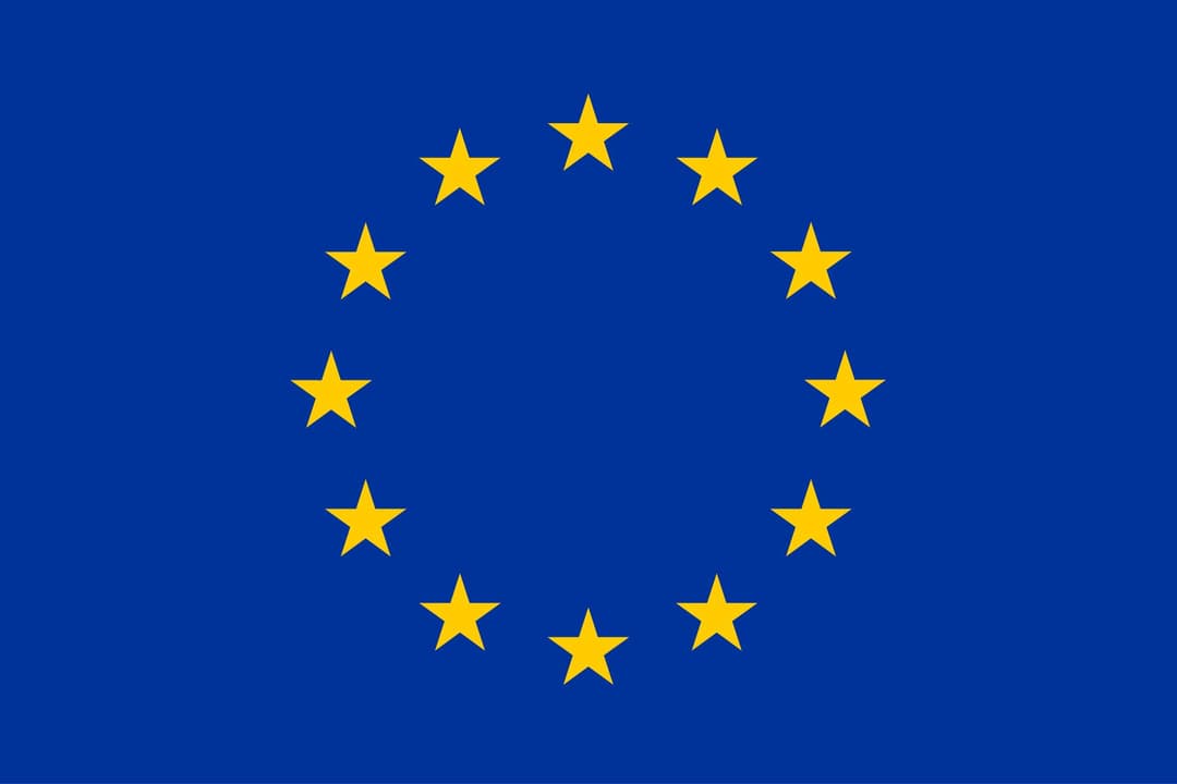 ევროკავშირის წარმომადგენლობა – “დეოლიგარქიზაციის” კანონის მიღებამდე უნდა იყოს შესრულებული ვენეციის კომისიის დასკვნა