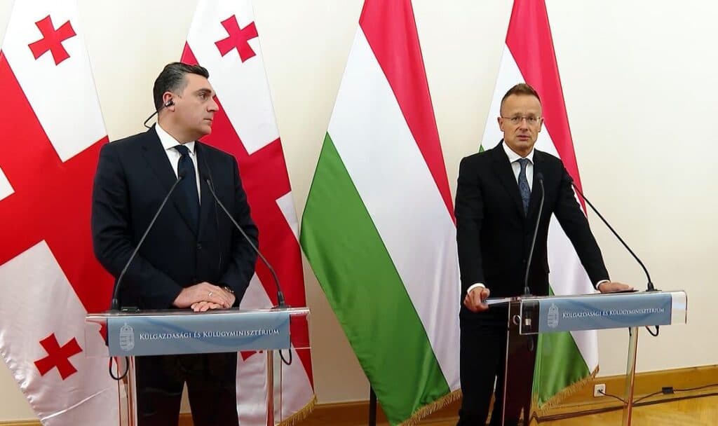 სიიარტო – ვთვლით, რომ საქართველომ შემოდგომაზე უნდა მიიღოს კანდიდატის სტატუსი