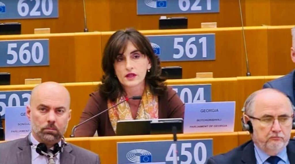 საქართველოს საპარლამენტო დელეგაციამ ევროპარლამენტში საპარლამენტთაშორისო კონფერენციაში (SECG) მიიღო მონაწილეობა