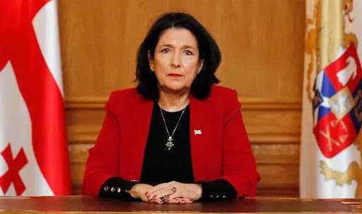 სალომე ზურაბიშვილი ბრიფინგს გამართავს