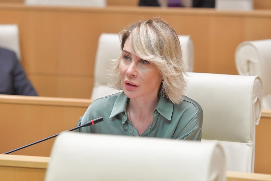 ნინო წილოსანი – პარლამენტის შენობის “შტურმისტები“, პოლიციელების დამამცირებლები, “მოლოტოვის კოქტეილებით“ შეიარაღებულები, Gen Z თაობის სახელით ვერ ისაუბრებთ!