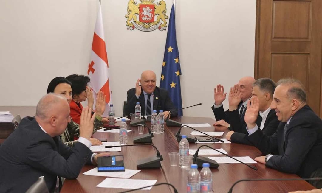 საპარლამენტო კომიტეტებმა თავმჯდომარეების პირველი მოადგილეები აირჩიეს