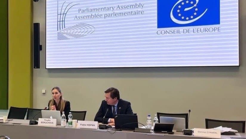 თინა ბოკუჩავა – მონიტორინგის კომიტეტის წევრები მუშაობენ რეზოლუციაზე, რომლის თანახმადაც უნდა ჩაინიშნოს ახალი სამართლიანი არჩევნები და გათავისუფლდნენ პოლიტპატიმრები