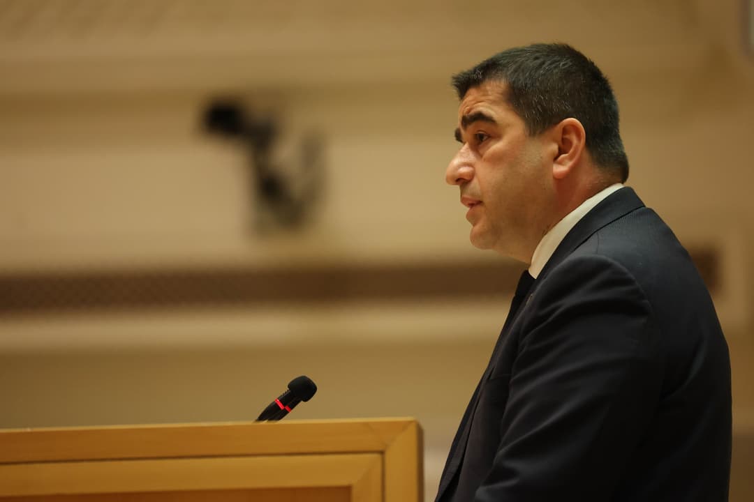 Georgia's Speaker warns foreign diplomats will be held responsible for potential violence at Independence Day rally