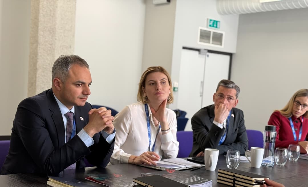 ალექსანდრე წულაძემ Times Higher Education-ის კვლევების მიმართულების დირექტორთან სამომავლო თანამშრომლობის პერსპექტივები განიხილა